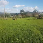 Quinta Jr -