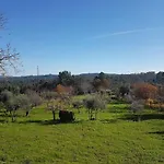 Quinta Jr - Feriehus Carregal (Vouzela)
