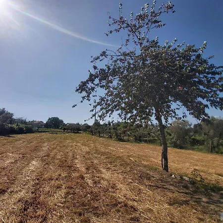 Quinta Jr - * Carregal (Vouzela)