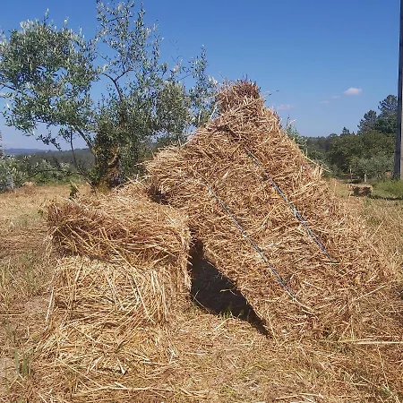 Quinta Jr - Casa de Férias Carregal (Vouzela)