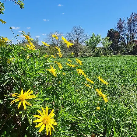 Quinta Jr - Ferienhaus *
