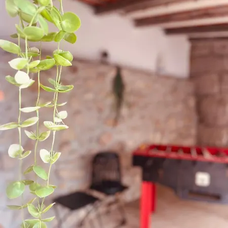 Feriehus Quinta Jr - Carregal (Vouzela)