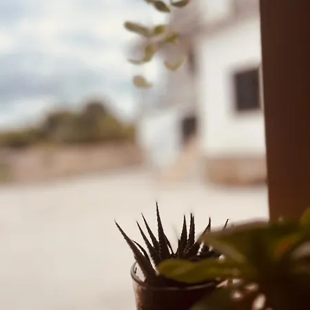 Quinta Jr - Carregal (Vouzela)