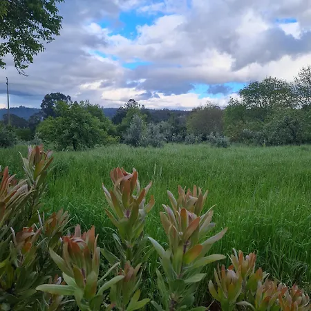 Quinta Jr - Casa de Férias