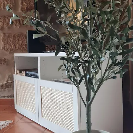 Ferienhaus Quinta Jr - Carregal (Vouzela)