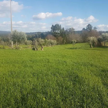 Quinta Jr