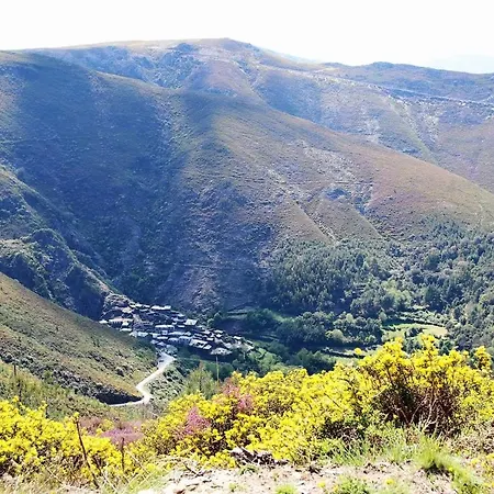 Quinta Jr - * Carregal (Viseu)