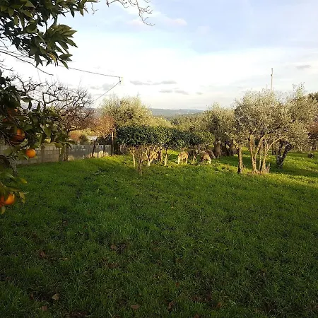 Quinta Jr - * Carregal (Vouzela)