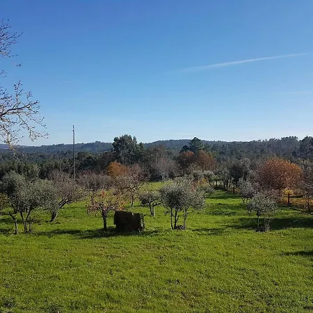 Quinta Jr - Casa de Férias Carregal (Vouzela)