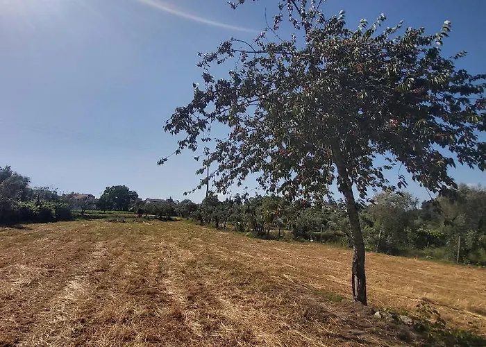 Quinta Jr - * Carregal (Vouzela)