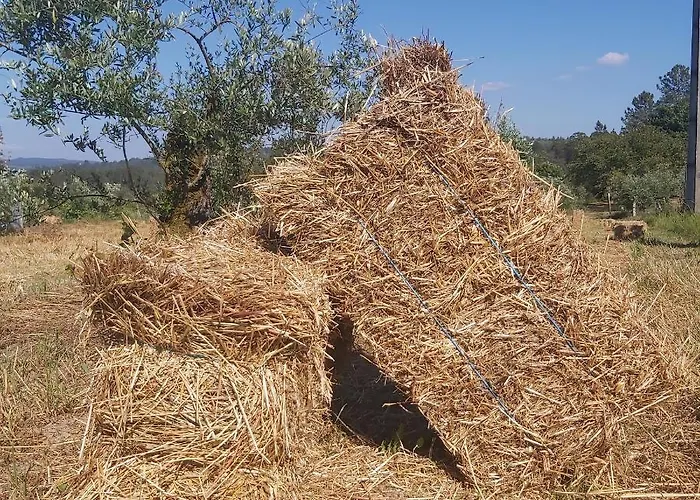 Quinta Jr - بيت للعطل Carregal (Vouzela)