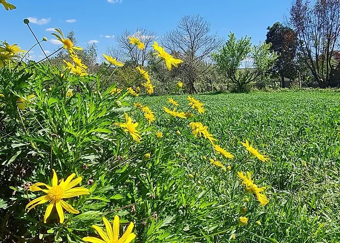 Quinta Jr - بيت للعطل *