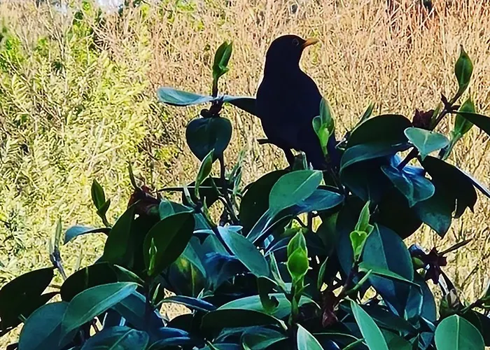 بيت للعطل Quinta Jr - Carregal (Vouzela)