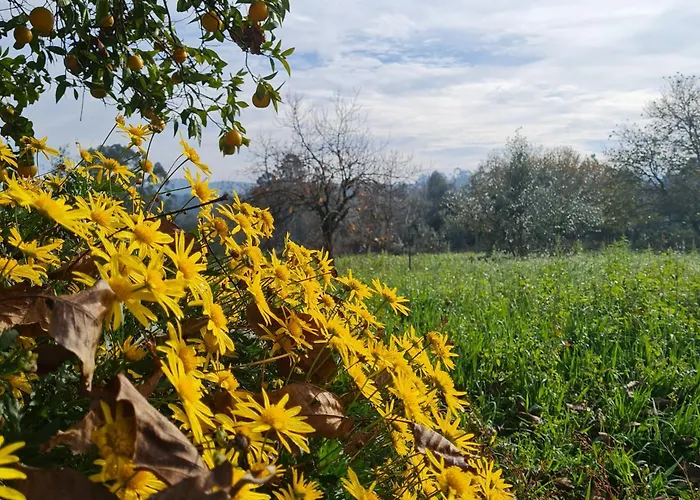 Quinta Jr - بيت للعطل *