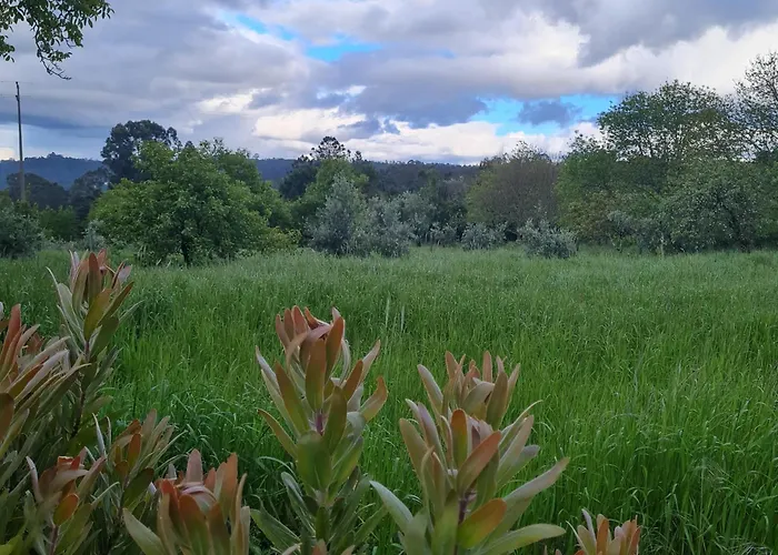 Quinta Jr - بيت للعطل