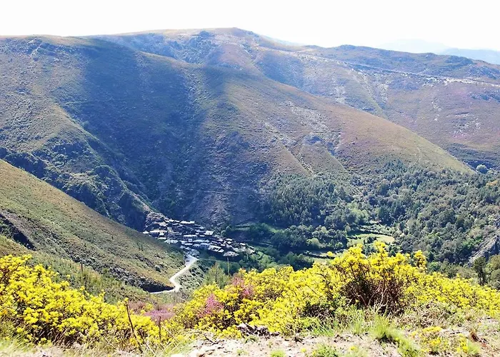 Quinta Jr - * Carregal (Viseu)