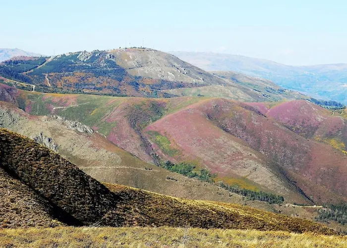 Quinta Jr - بيت للعطل Carregal (Vouzela)