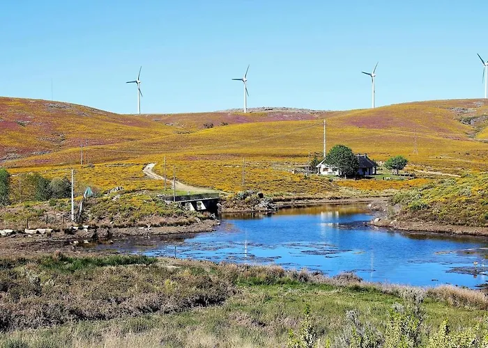 Quinta Jr - بيت للعطل *