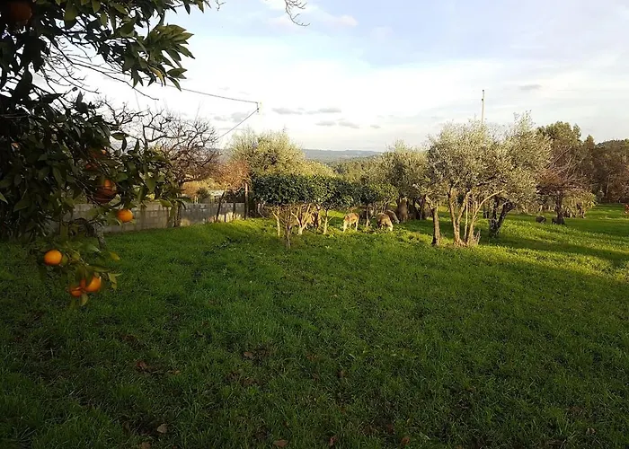 Quinta Jr - * Carregal (Vouzela)