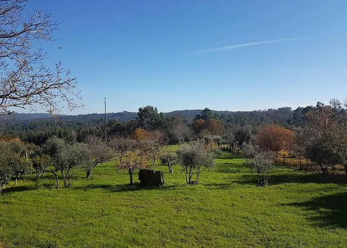 Quinta Jr - Feriehus Carregal (Vouzela)